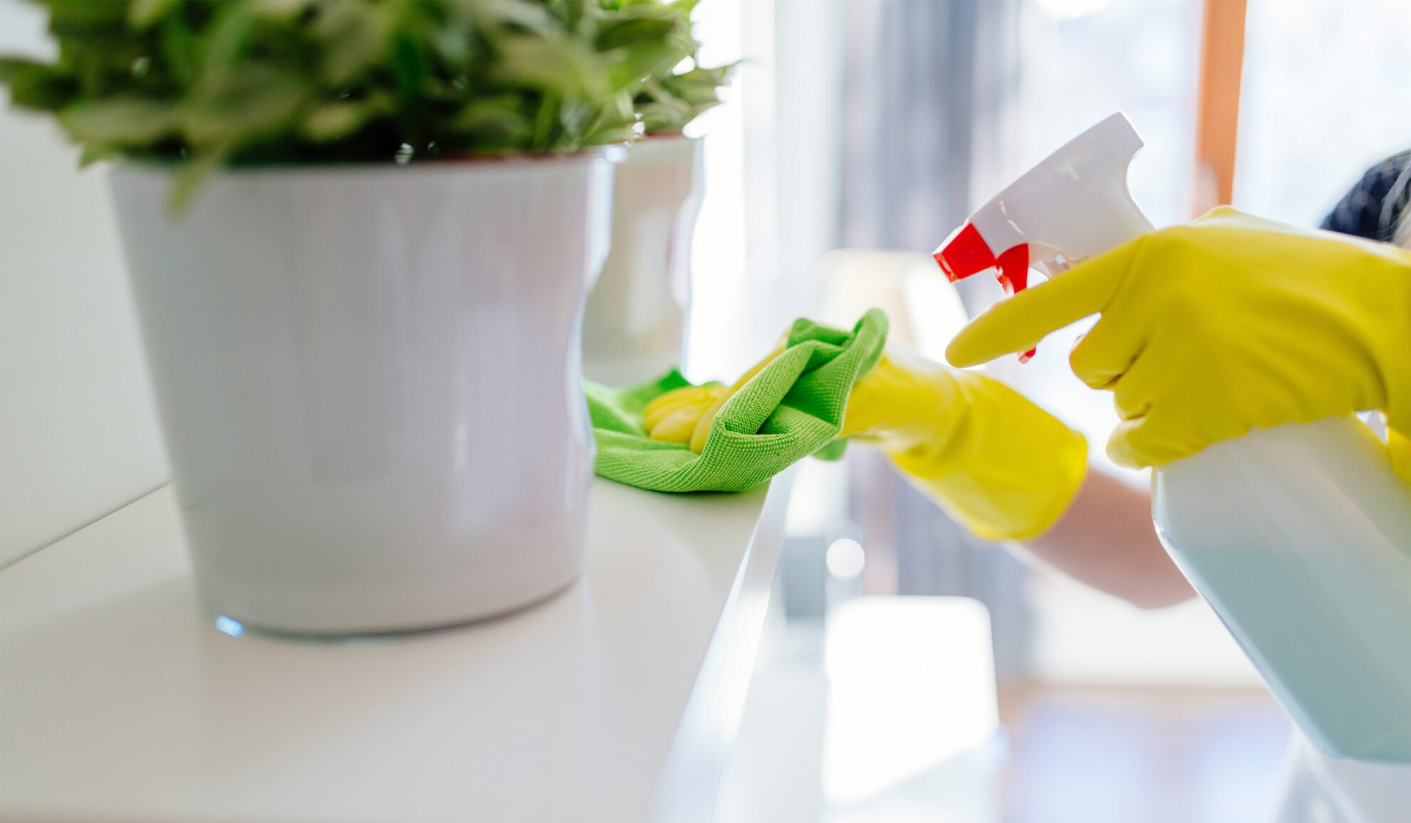 woman hands close up with rubber gloves cleaning white house surface madison wi